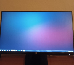 Shitet monitor HP
